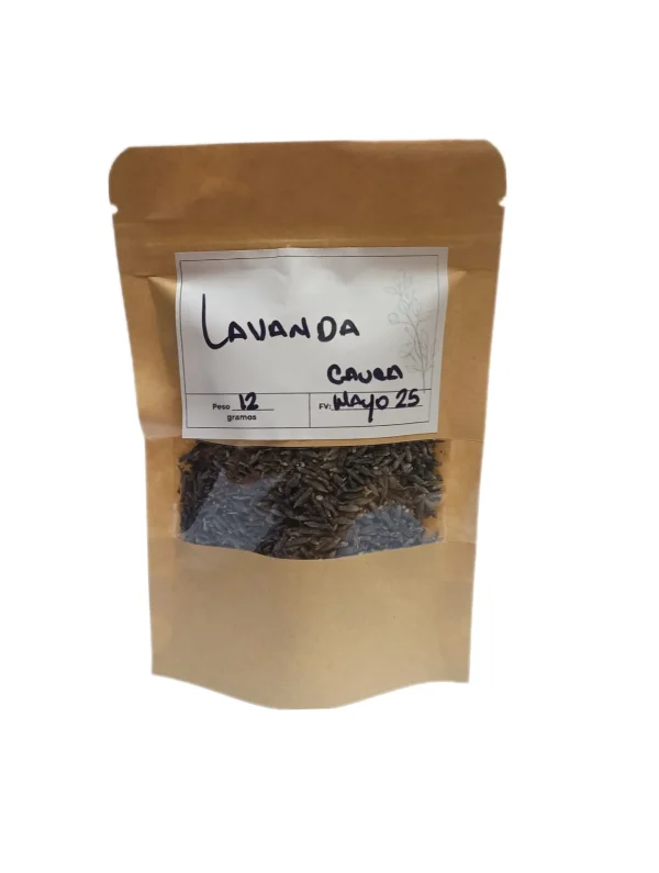 Flores de Lavanda