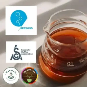 Curso SCA filtrados Nivel Básico