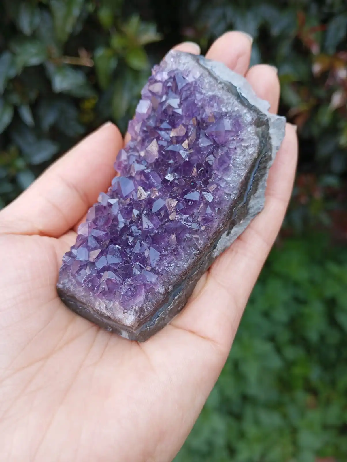 Drusa de Amatista cuarzo cristal - Imagen 2