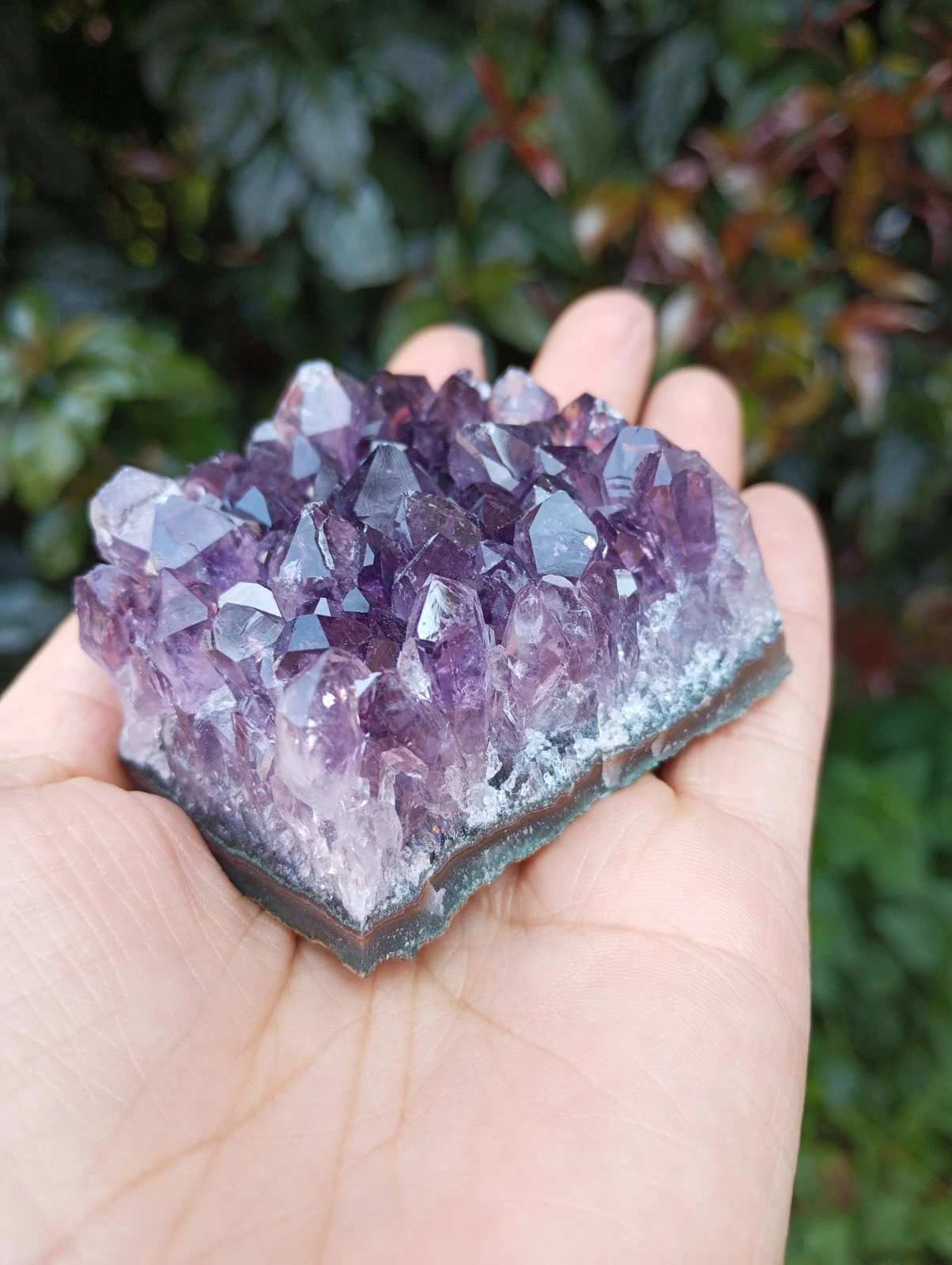 Drusa de Amatista cuarzo cristal - Imagen 3