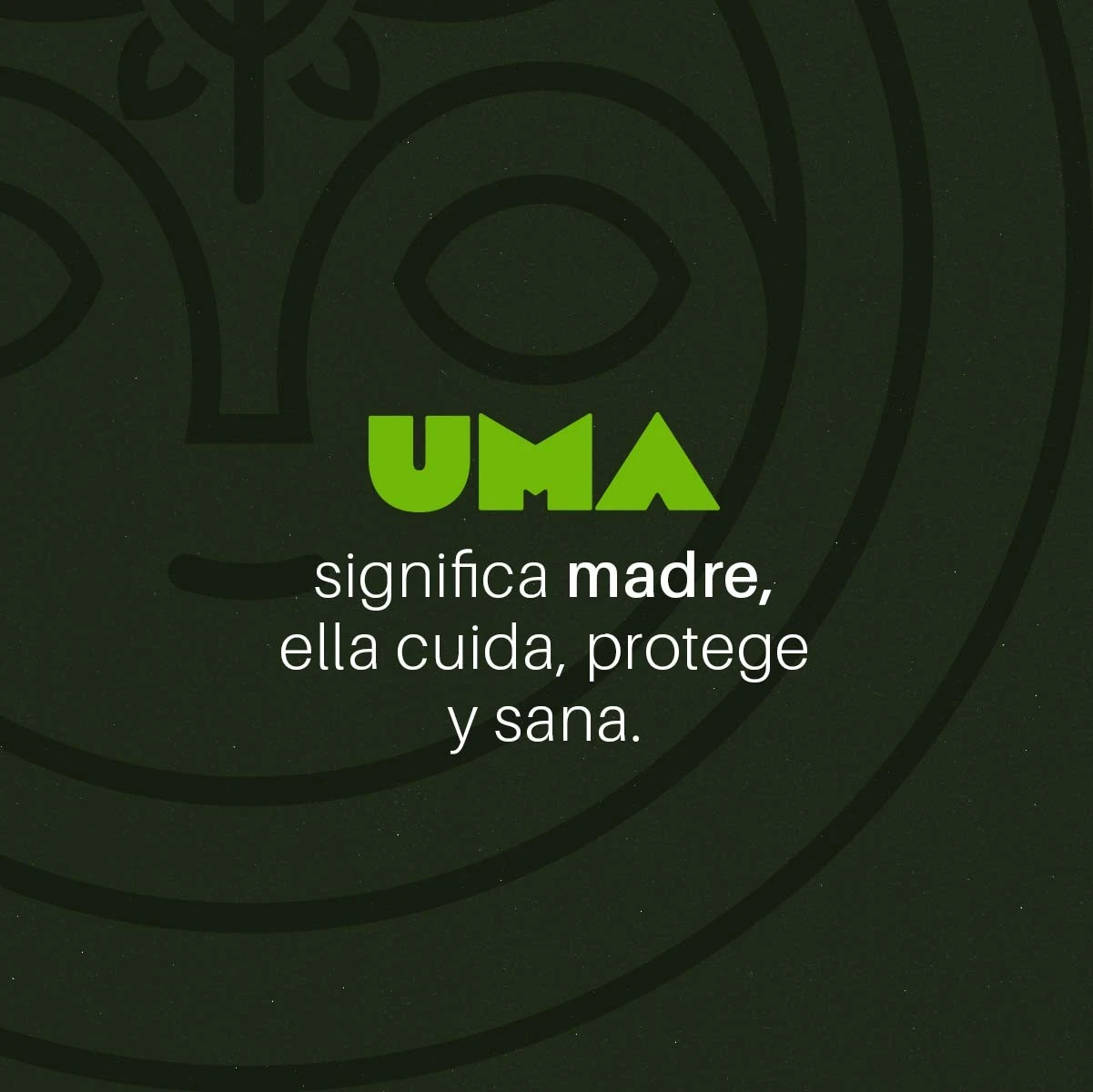 Ungüento de Marihuana Pomada - Imagen 3