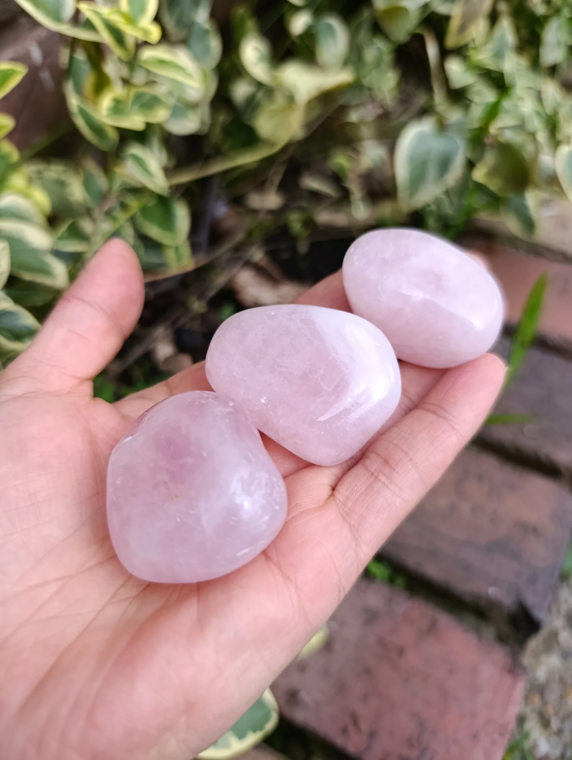 Cuarzo Rosa cristal Natural - Imagen 2